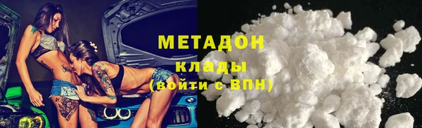 шишки Надым