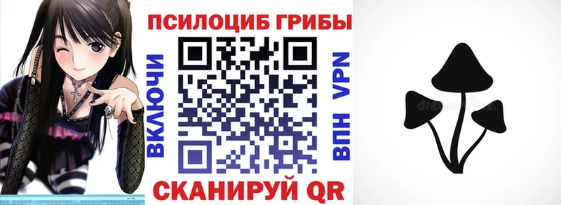 купить  цена  Изобильный  Псилоцибиновые грибы мицелий 