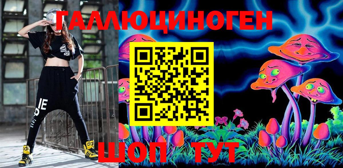 Псилоцибиновые грибы GOLDEN TEACHER  Вход с VPN  Псилоцибиновые грибы Psilocybine cubensis  Изобильный 