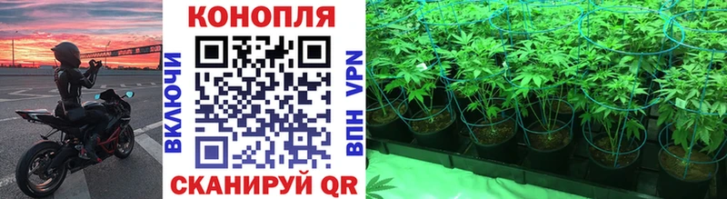 Канабис White Widow  Изобильный 